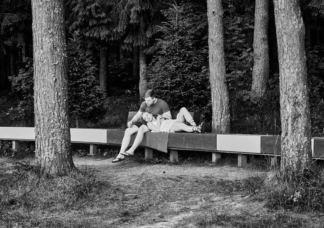 В темном лесу... - emelka2 