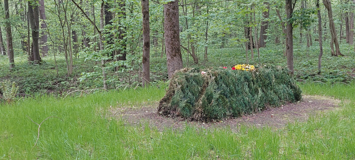 Могила Толстого. - ИРЭН@ .