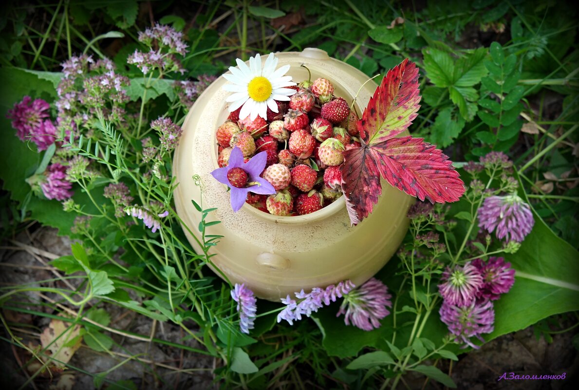 О летних натюрмортах... - Андрей Заломленков О летних натюрмортах... - Андрей Заломленков