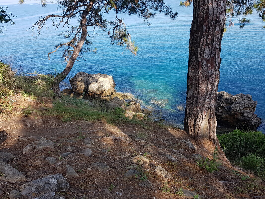 *** - Геннадий. Э.