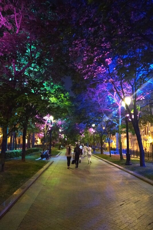 Жизнь в красках - Натали 