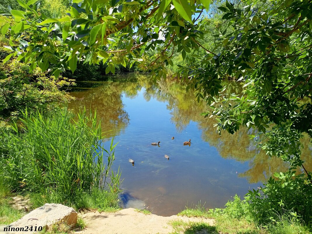 В ростовском зоопарке - Нина Бутко