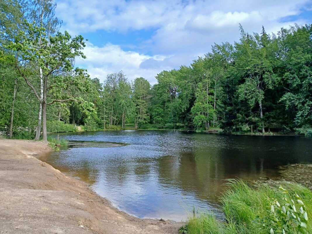 Берег озера. - Лия ☼