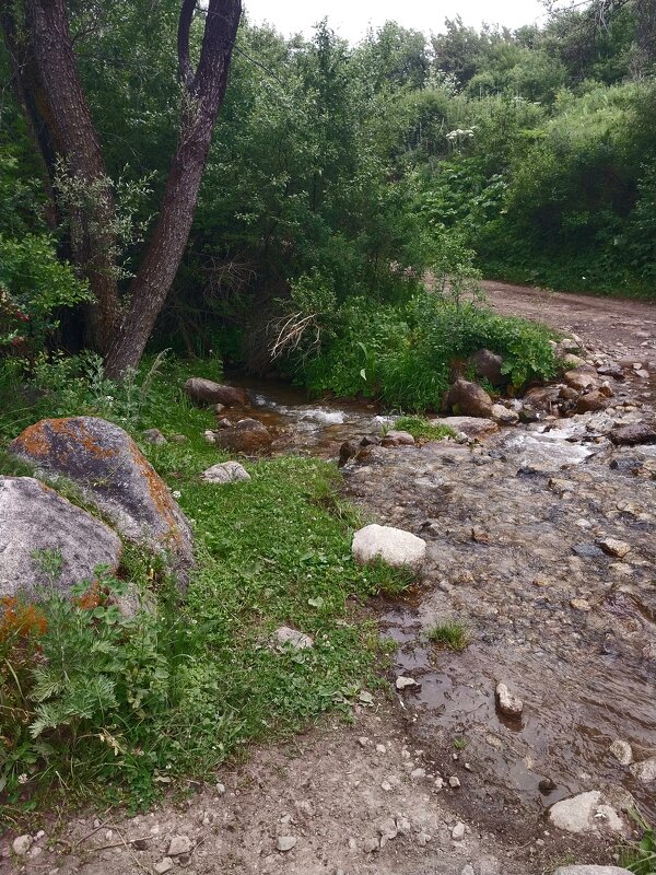 Talgar. - Murat Bukaev 