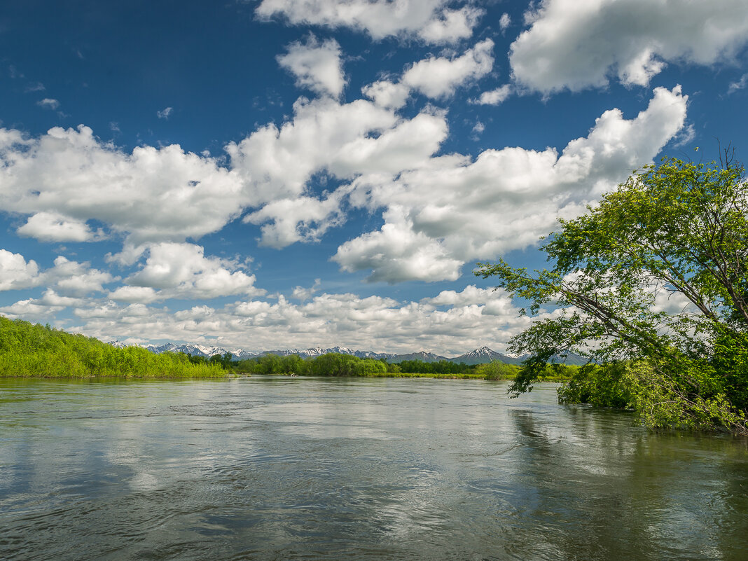 ... - Жора Житников ... - Жора Житников