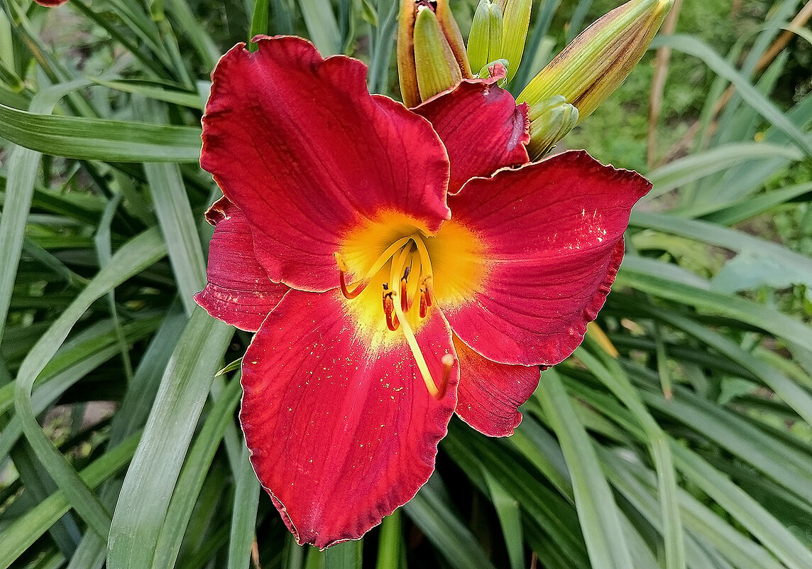 Мимо не пройти! - Валентина  Нефёдова 