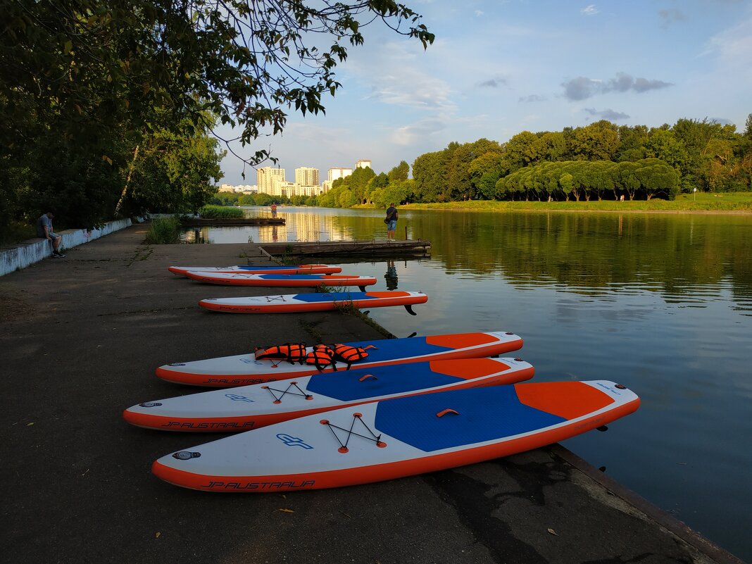 Тема с двумя вариациями - Андрей Лукьянов