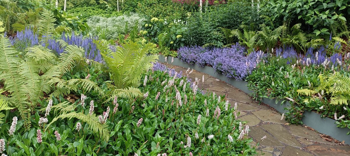 лето в городе - Галина R...