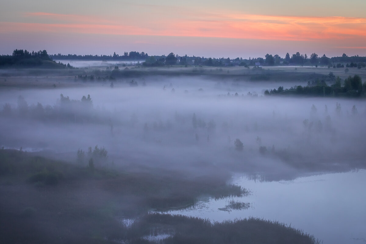 **** - Елизавета .
