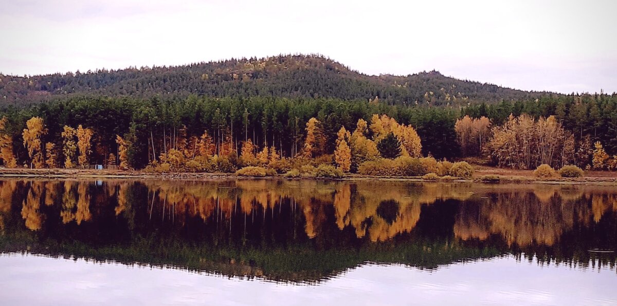 Осень - Георгиевич 