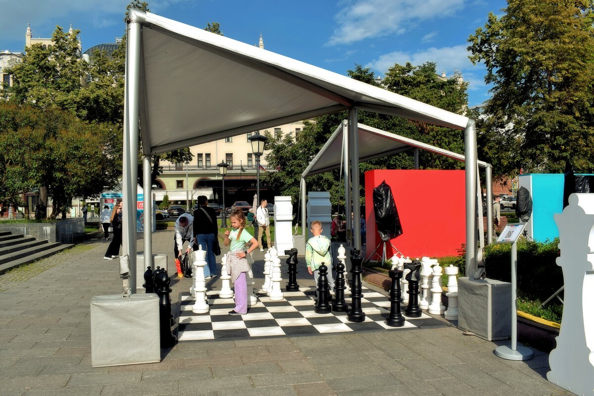 Большие уличные шахматные фигуры!. - Татьяна Помогалова