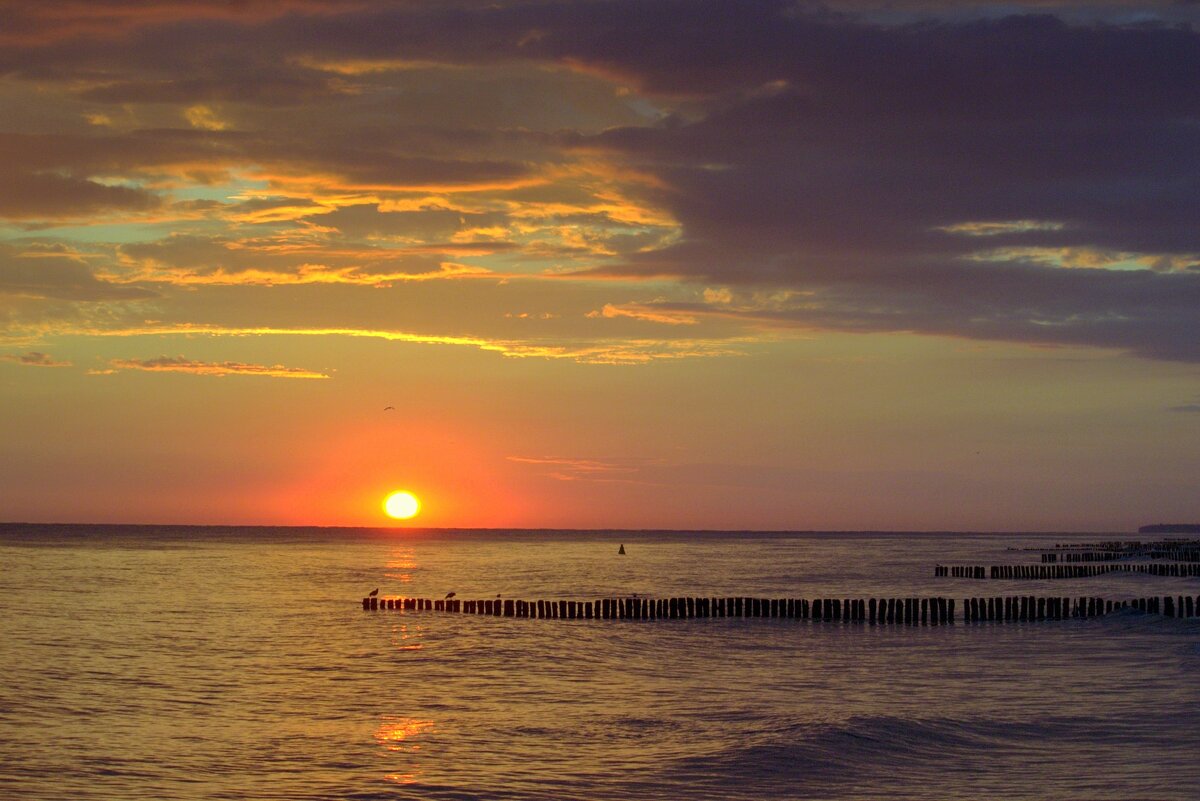 Солнце встало - Юрий. Шмаков