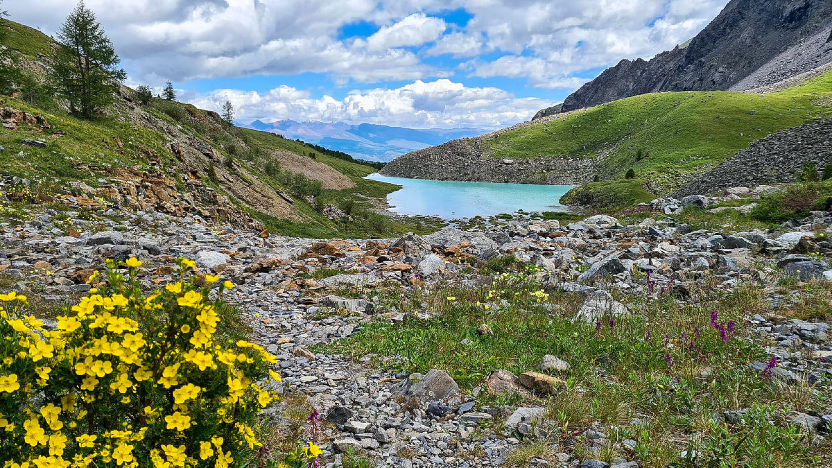 Желтый - Виктор Фоменко