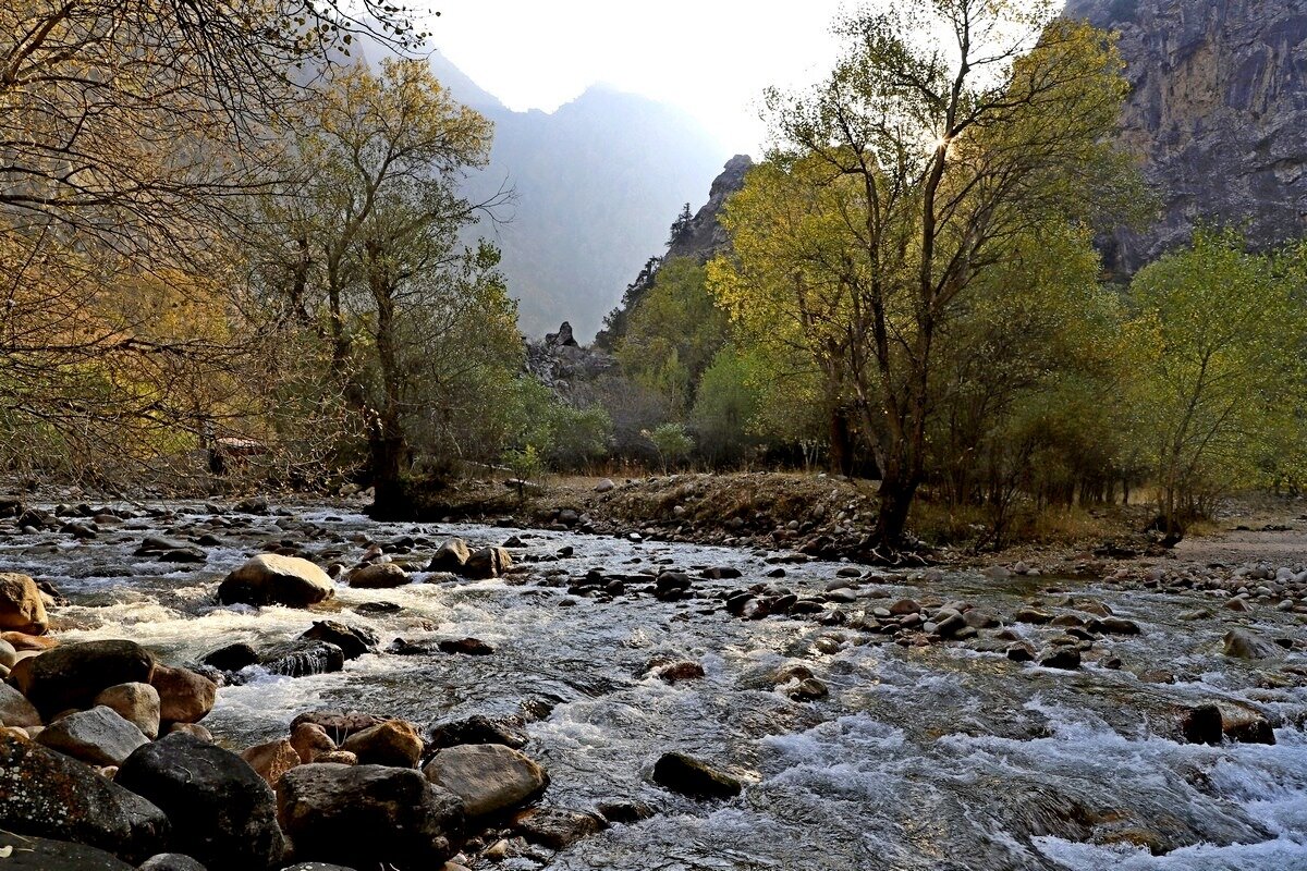 ПО НИЗАМ. - Виктор Осипчук