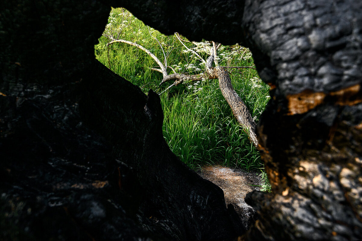 *** - Влад Никишин