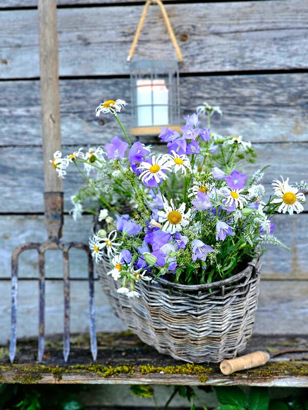 Дачный натюрморт - Галина Левина