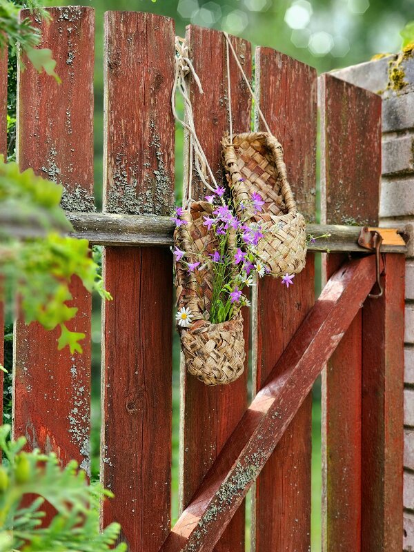Наследство. - Галина Левина