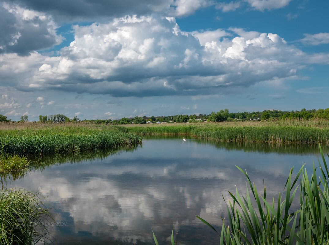 Облачное лето - Фёдор. Лашков