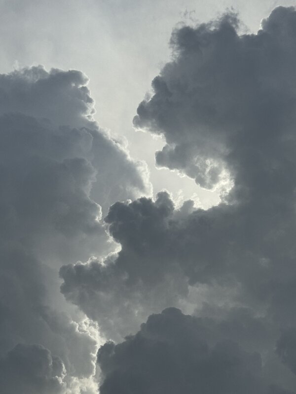 Вверх! - Анна Камс