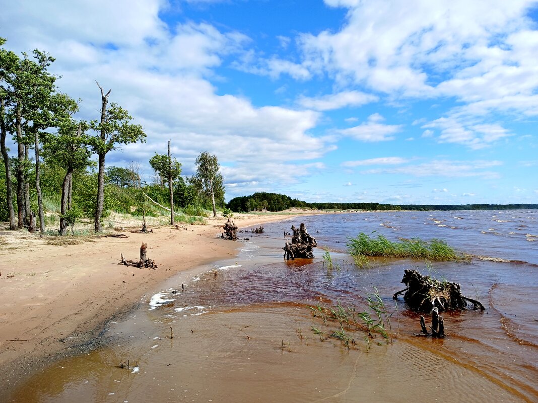 Берег чудес. - Лия ☼