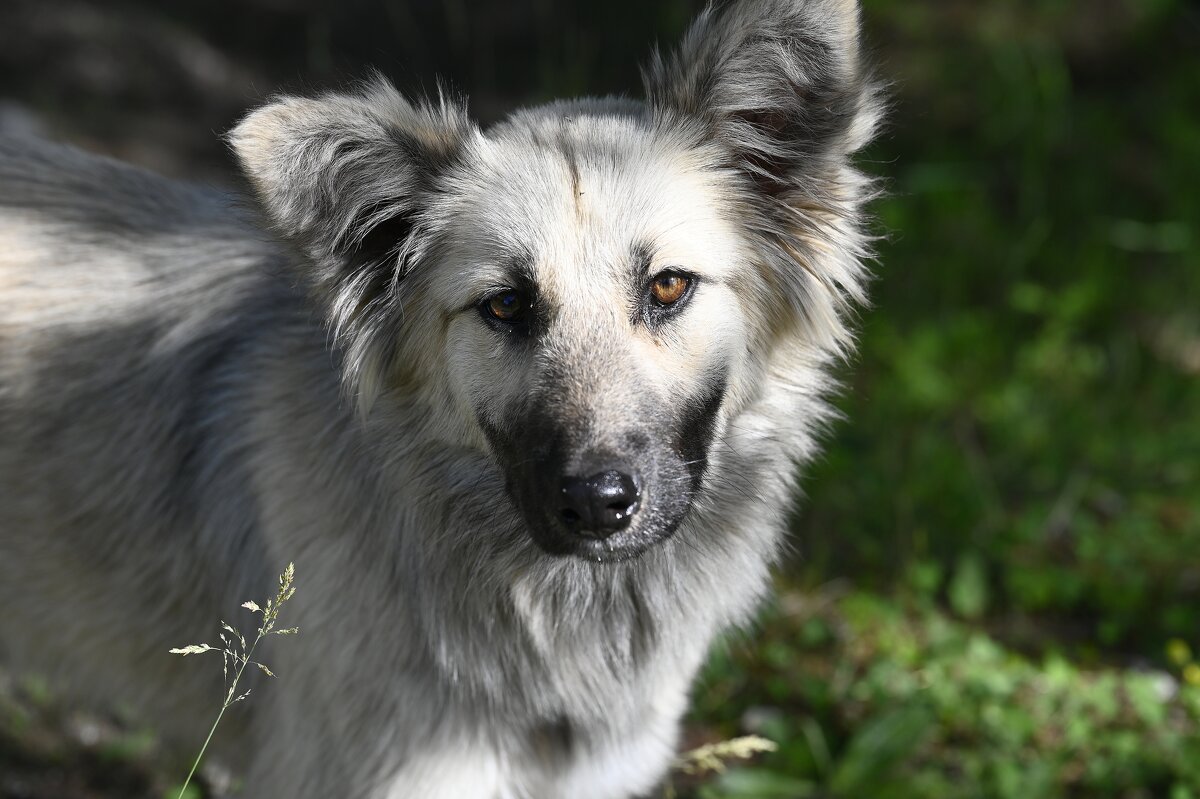 Ничейная - Ольга 