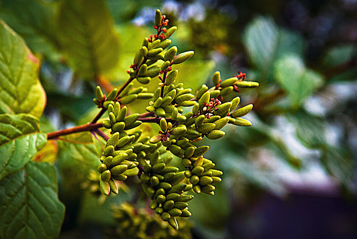 Фото зарисовка в лесопарке - Владимир Кроливец