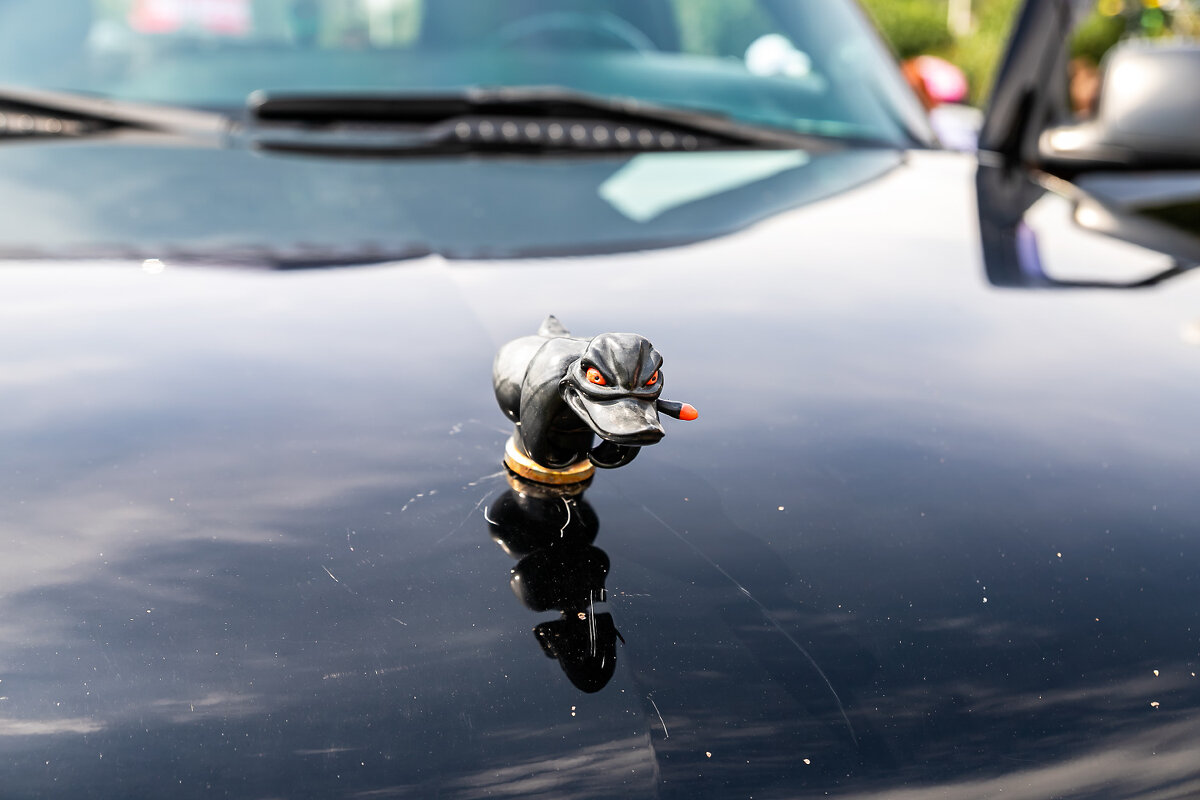 У кого олнень,а у кого.. - Александр 