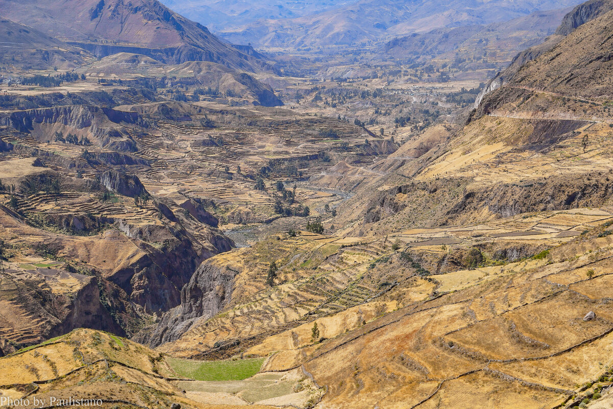 В долине реки Колка... - Владимир Жданов