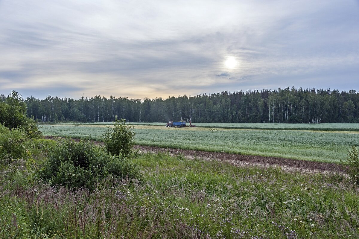 Июльский сенокос - Валерий Иванович