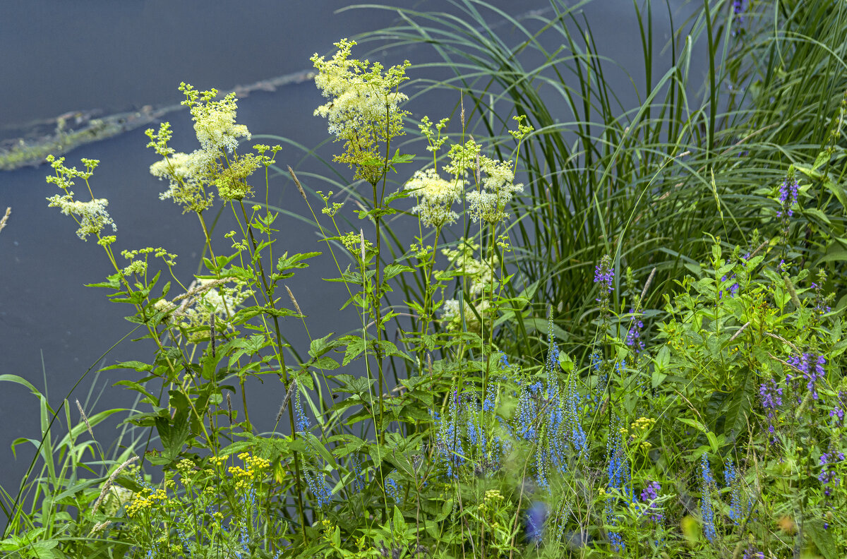 У берега - Сергей Цветков У берега - Сергей Цветков