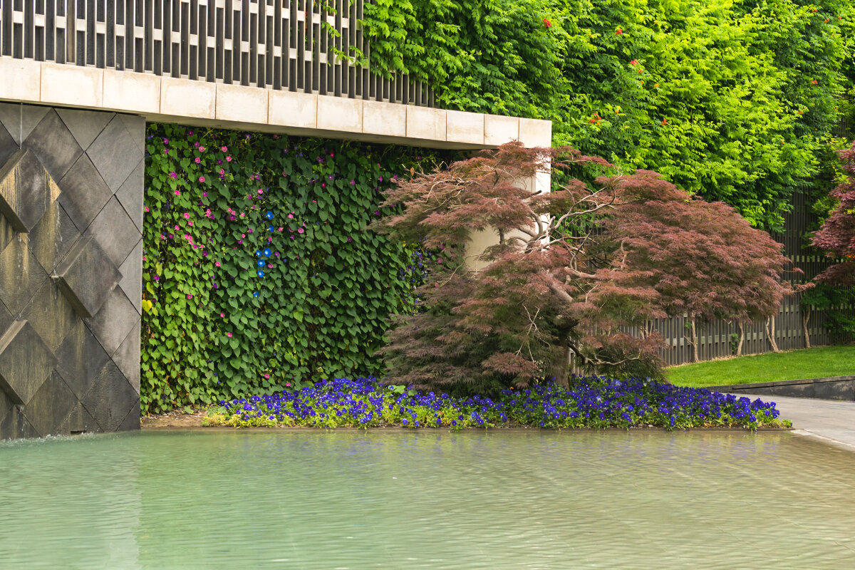 Прогулка в парке Галицкого - Игорь Сикорский