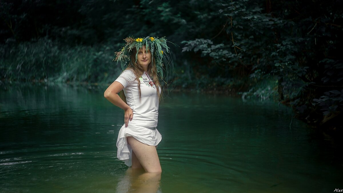 3877 - Alex . 3877 - Alex .