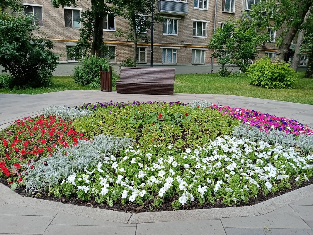 Цветы. - Владимир Драгунский Цветы. - Владимир Драгунский