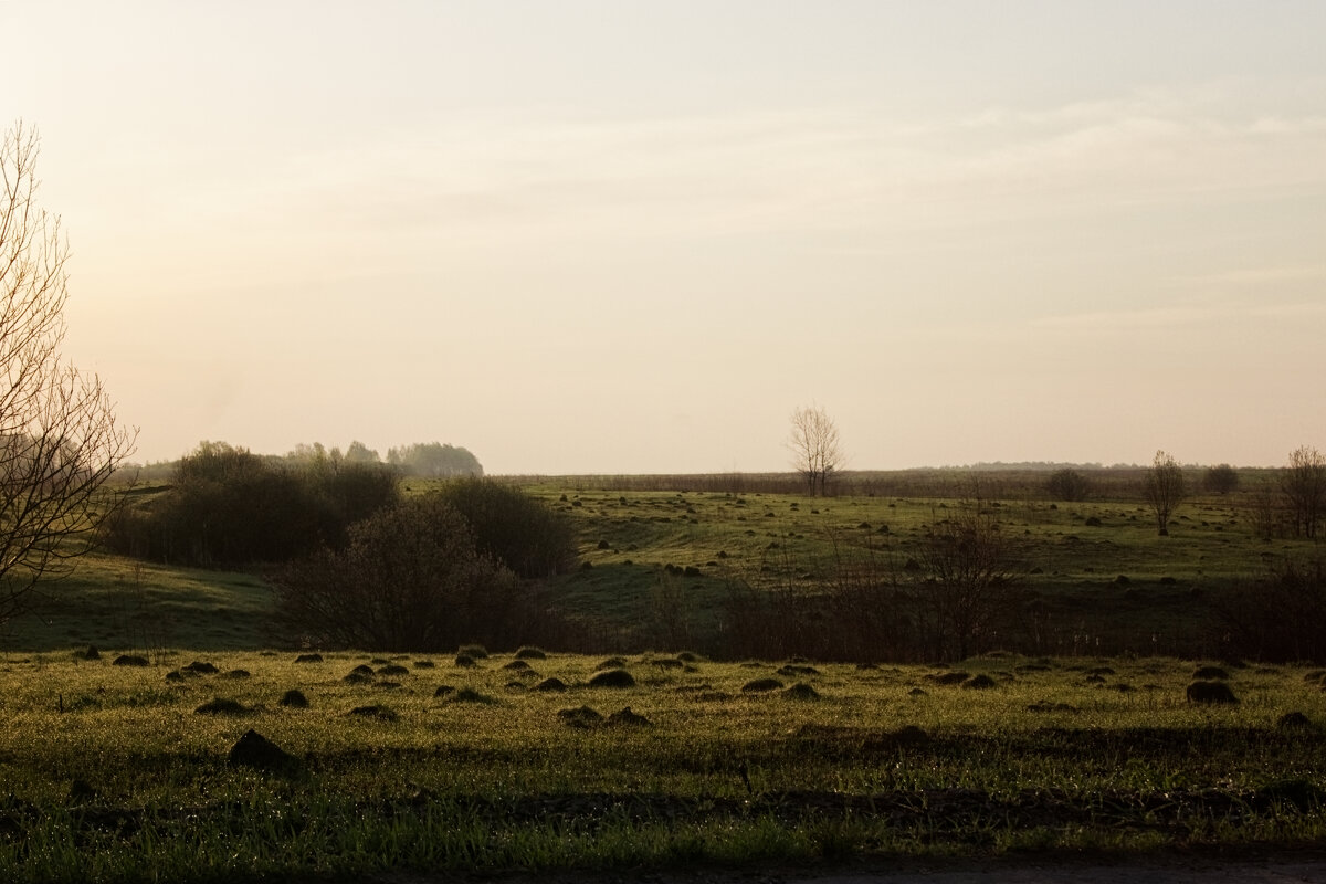 На рассвете дня - Джованни Луче