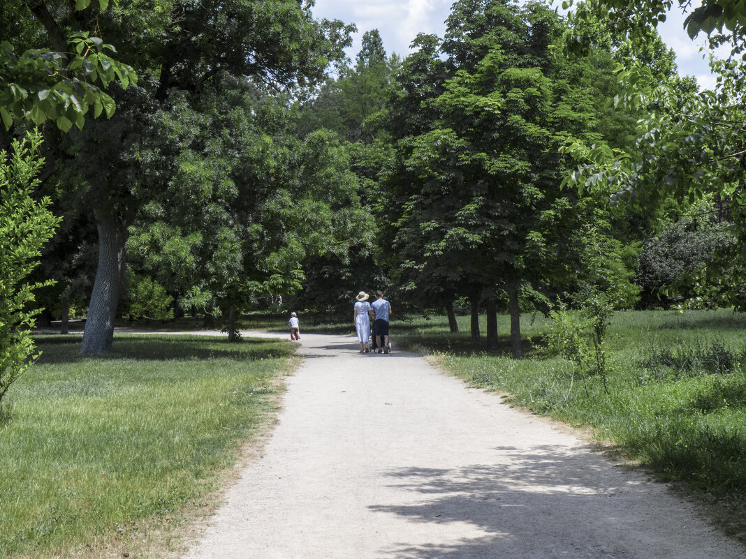 Природа ботанического сада - Валентин Семчишин