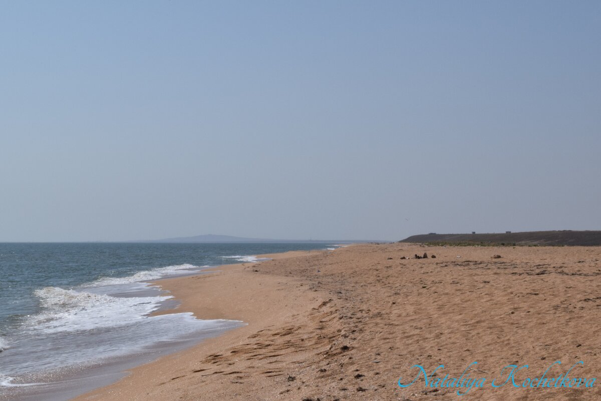 Природа Крыма - Amazing Cosmea