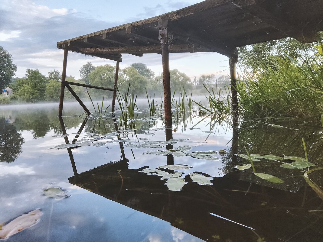 Пруд, природа - Виктория Тукмакова Пруд, природа - Виктория Тукмакова