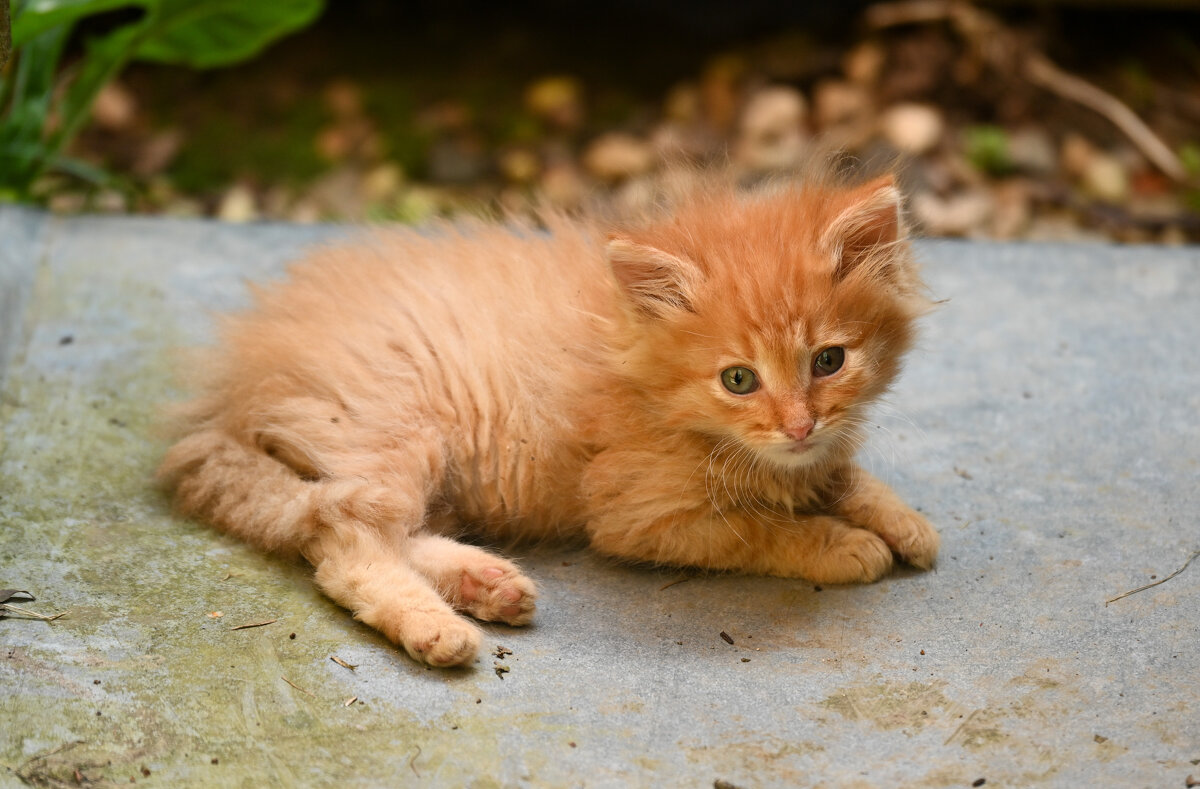 * - Вадим * - Вадим