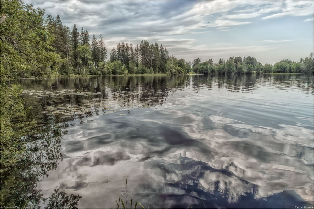 Отражение. - Александр Максимов