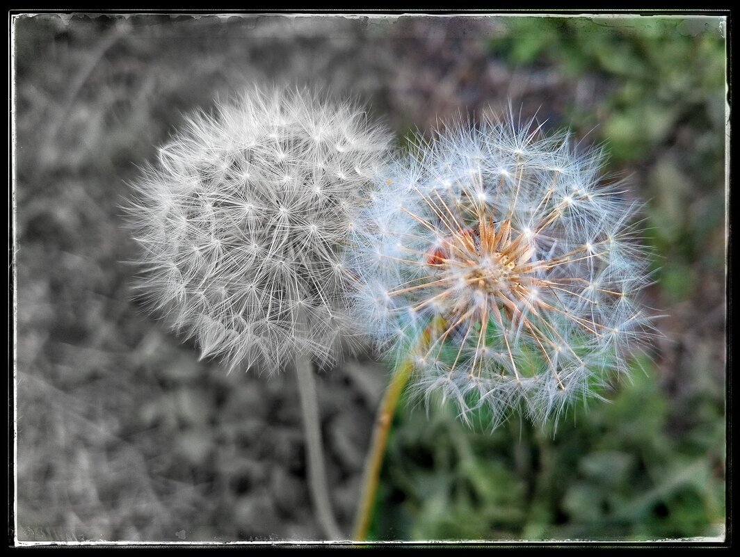 ... ... ... - Руслан ... ... ... - Руслан