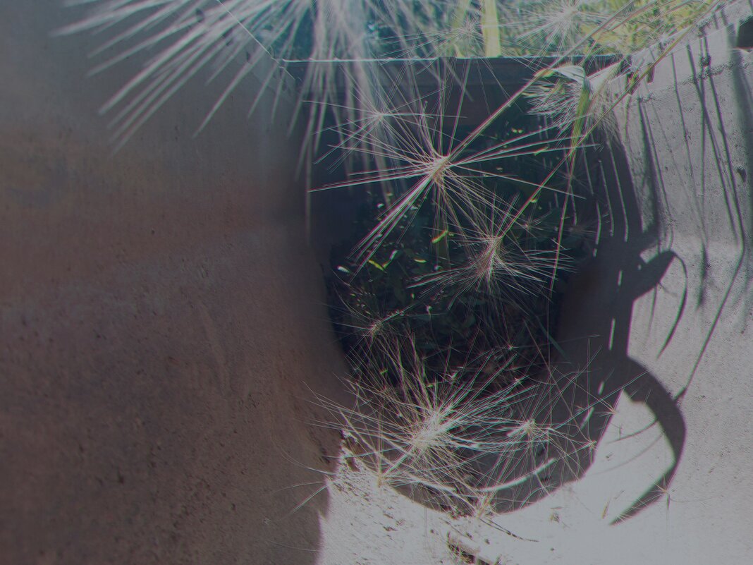 Подрешотное пространство. - Игорь Солдаткин