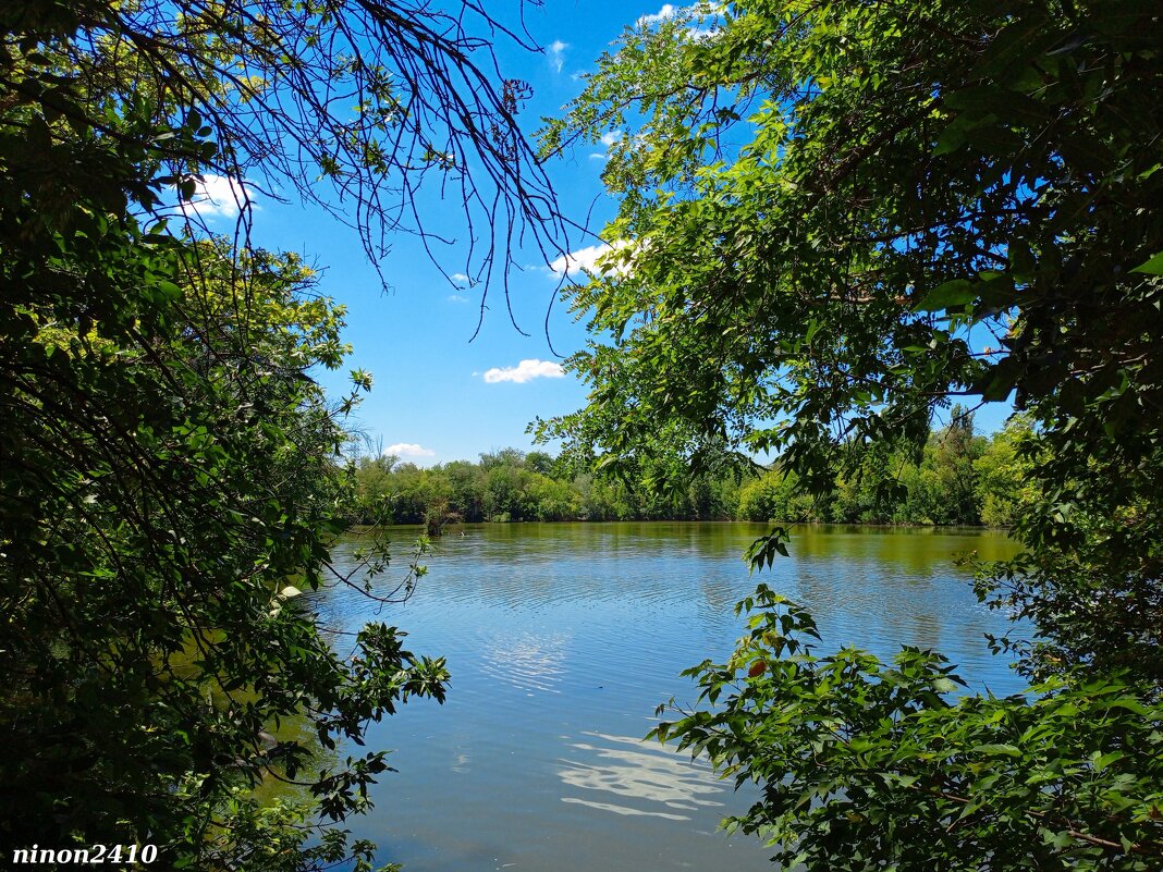 В ростовском зоопарке - Нина Бутко