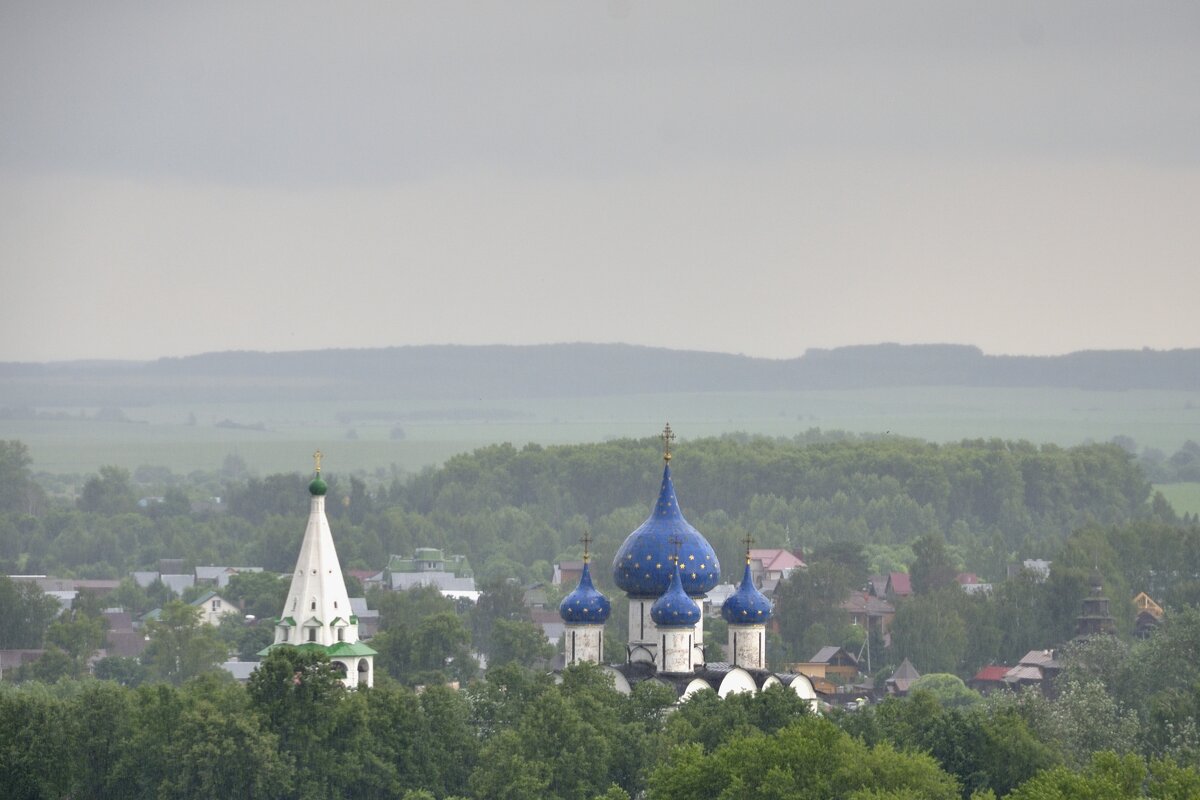 Был сильный дождь - Марина Виноградова