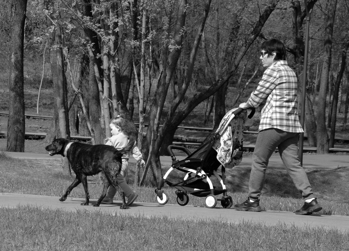 Конвой. - Борис Бутцев