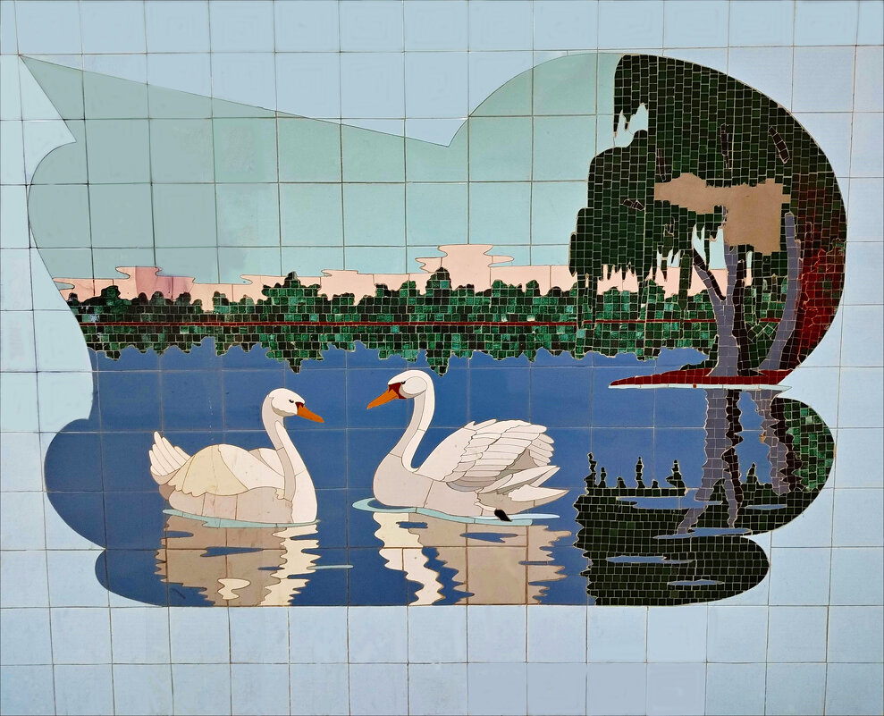 На пруду! - Надежда На пруду! - Надежда