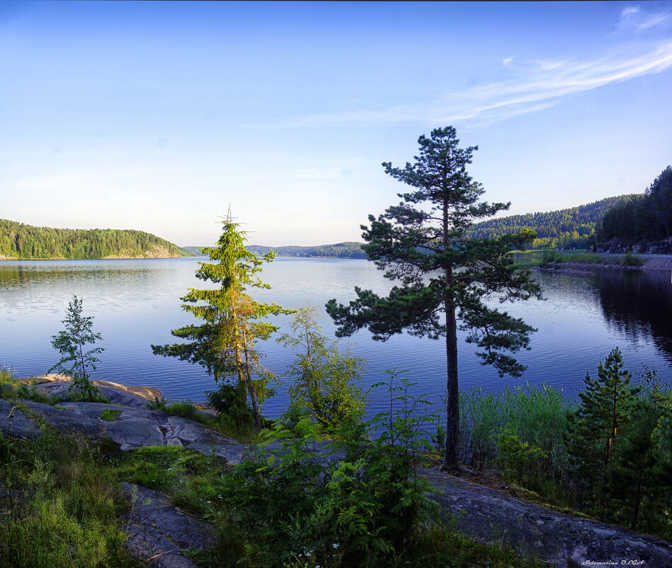Ладога - Ольга Cоломатина