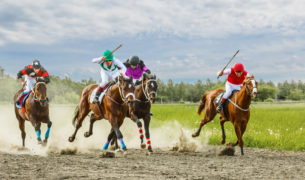 Скачки - SanSan 
