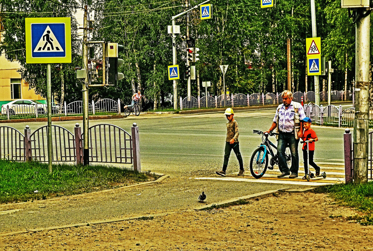 По опасному перекрестку...только с папой! - Владимир 