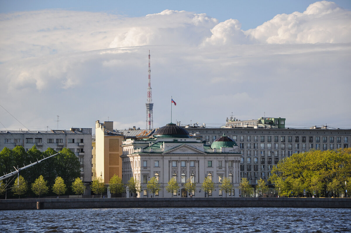 Дворец великого князя Николая Николаевича (младшего) - Татьяна Машошина