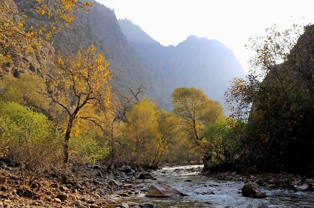 ПО НИЗАМ. - Виктор Осипчук ПО НИЗАМ. - Виктор Осипчук